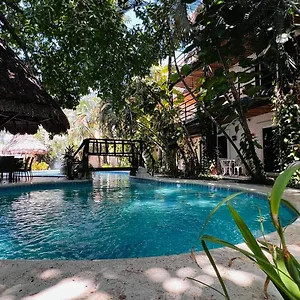 Hotel Mayan Art A Unos Pasos De La 5a Avenida